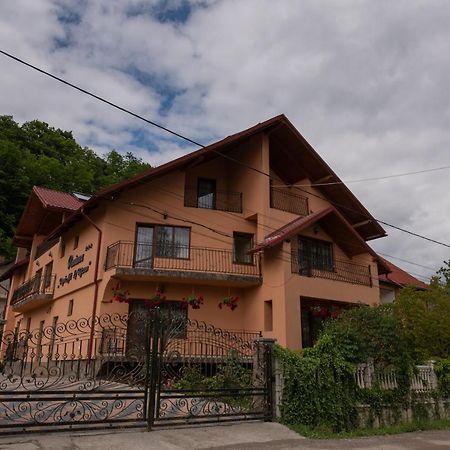 Dupa Apa La Razvan Máramarossziget Kültér fotó